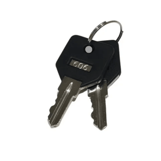 EV Rider Scooter Replacement Keys